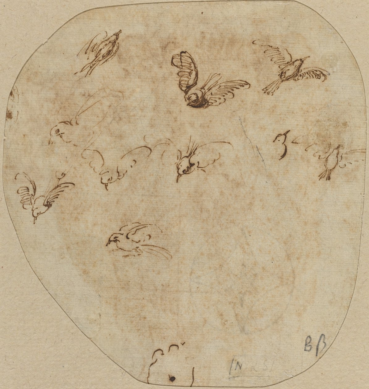 Oiseaux en vol [verso] - Girolamo Mazzola Bedoli