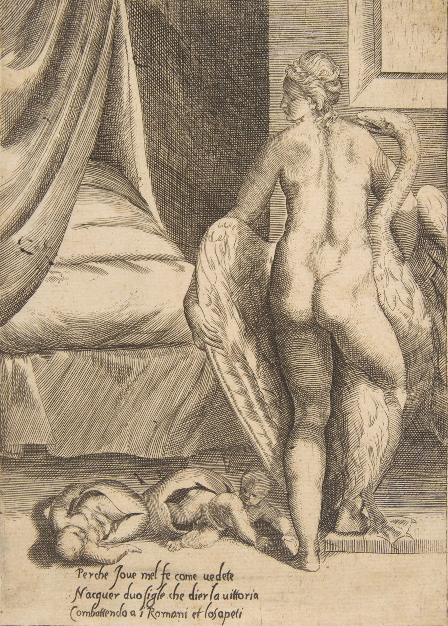 Léda et le cygne, des 