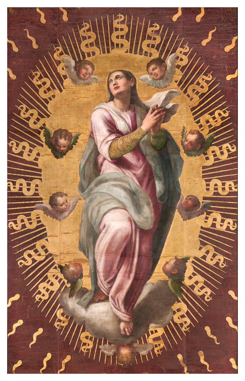 Sacristie des chanoines, Giulio Campi 1568, Bannière de l