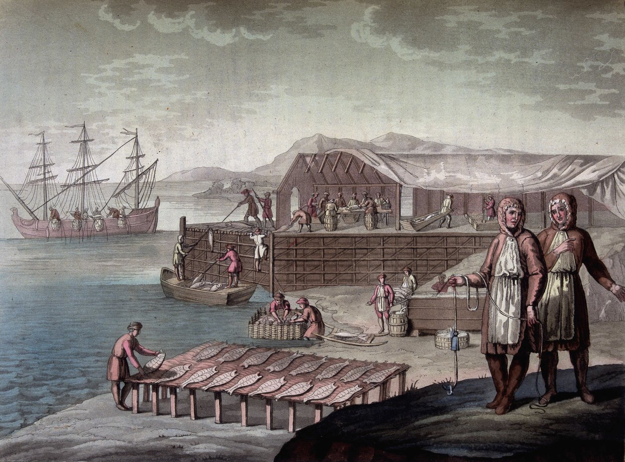 Pêche à la morue par les habitants de Terre-Neuve - dans "Le costume ancien et moderne" de Ferrario, éd. Milan - Giulio Ferrario