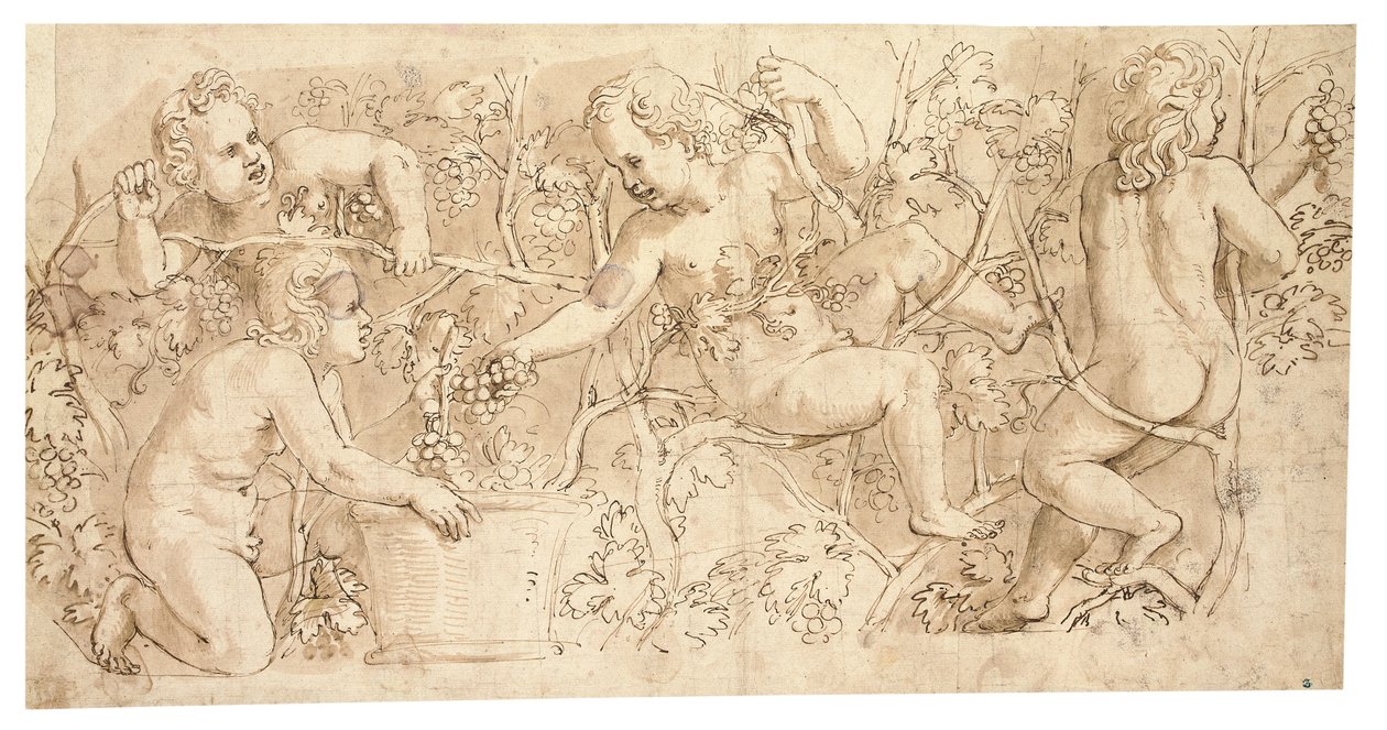 Putti cueillant des raisins : Dessin pour une frise - Giulio Romano