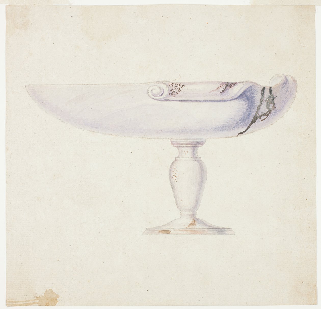 Coquillage violet sur pied - Giuseppe Grisoni