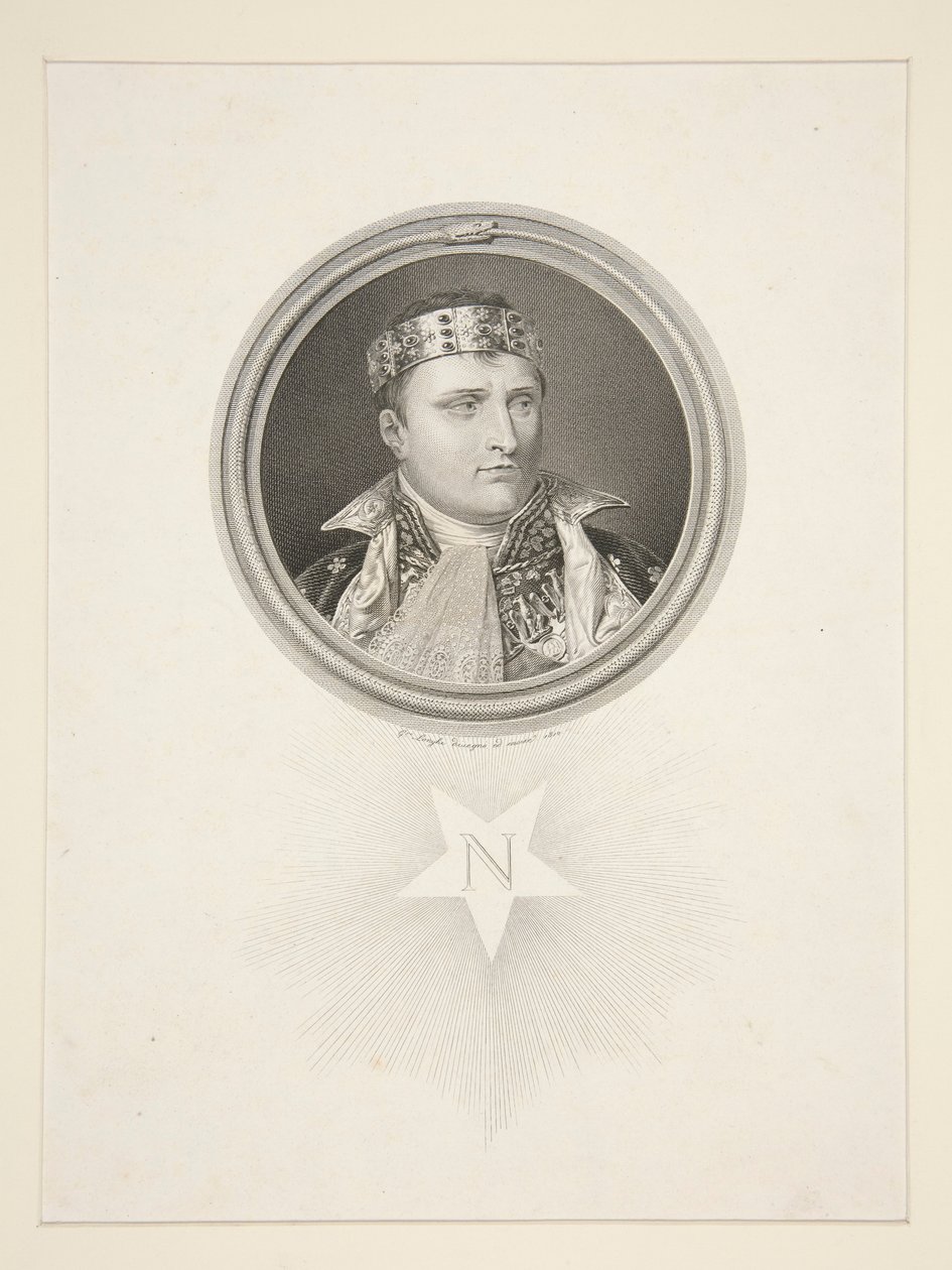Napoléon en tant que roi d