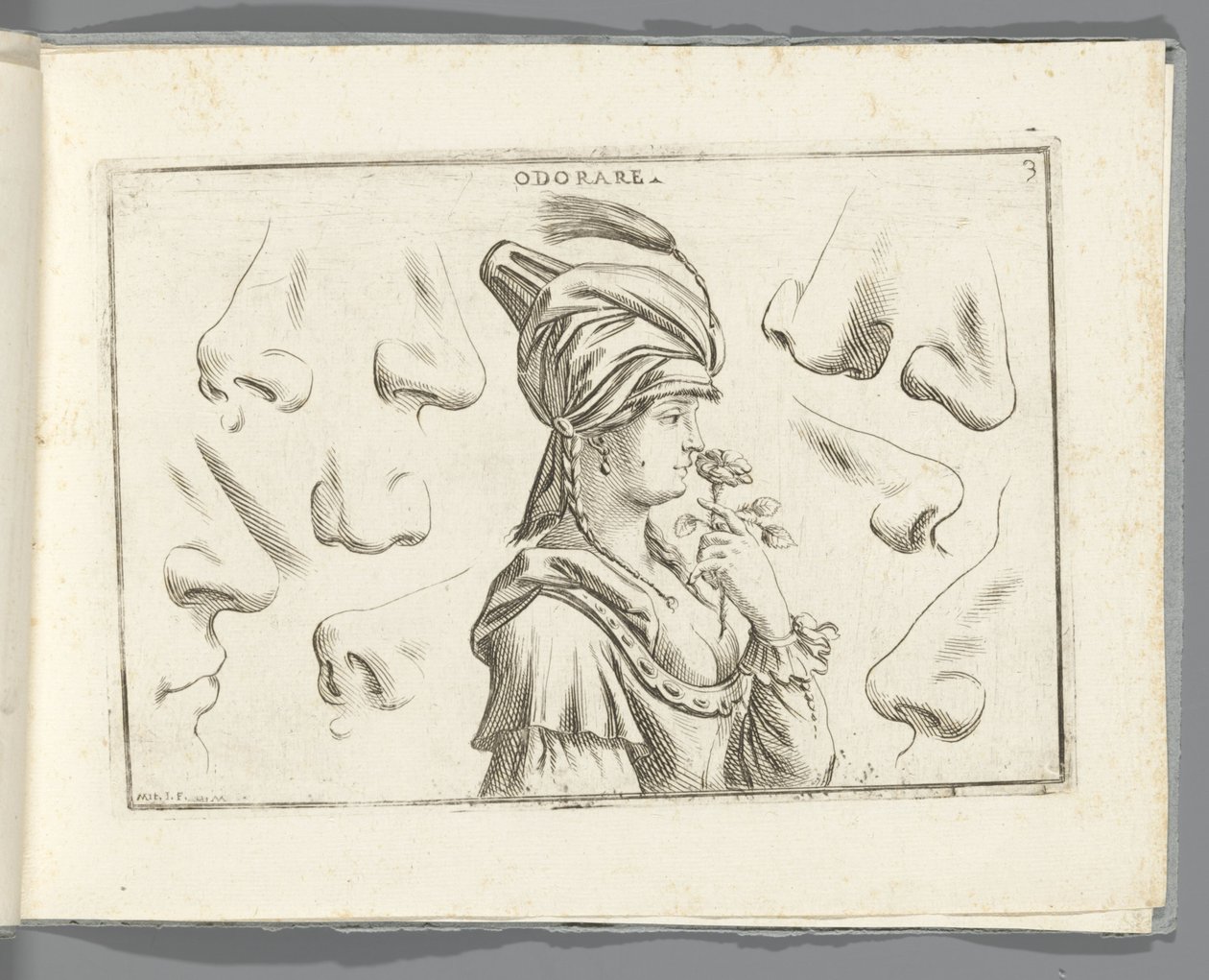 Odorat - Giuseppe Maria Mitelli