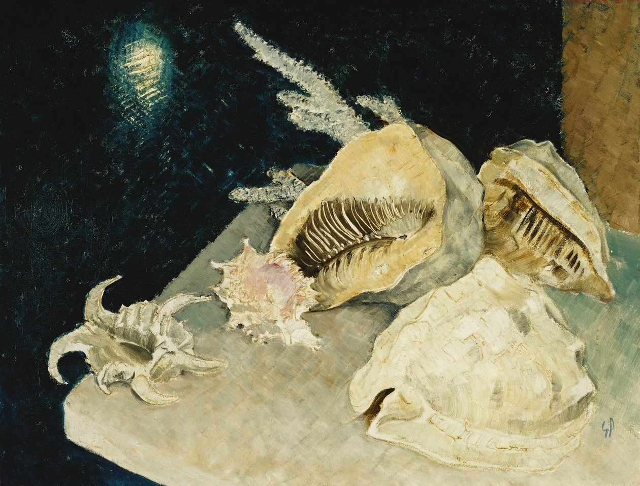 Coquillages - Glyn Warren Philpot