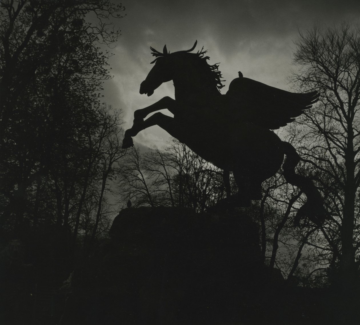 Statue de Pégase dans les jardins de Mirabell - Godfrey Macdominic