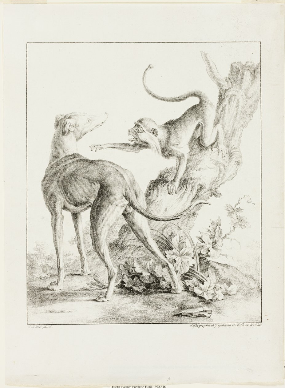 Chien et singe - Gottfried Engelmann