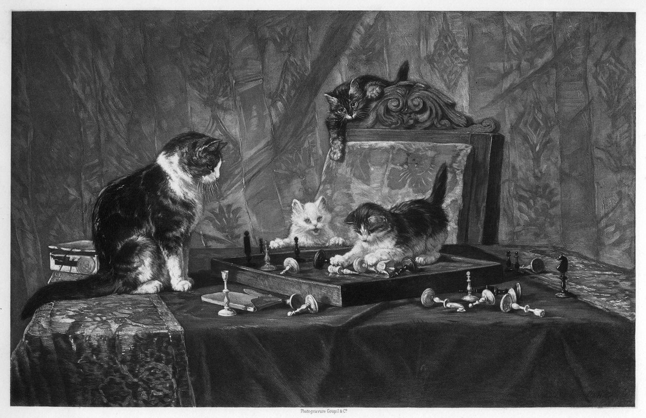 Chats jouant avec un échiquier - Goupil and Co