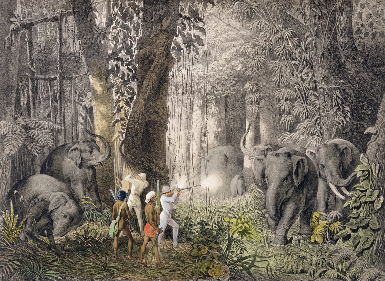 Chasse à l