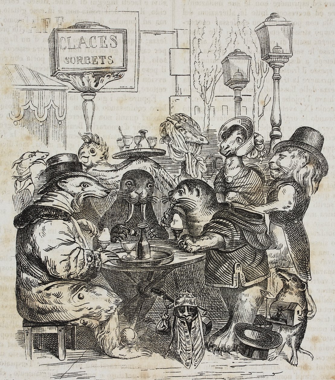 Bêtes assises à la boutique de crème glacée, lithographie de Giovanni Mariani d