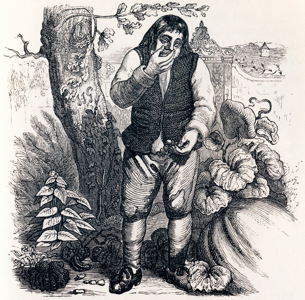 Le gland et la citrouille - Fables de La Fontaine - Grandville