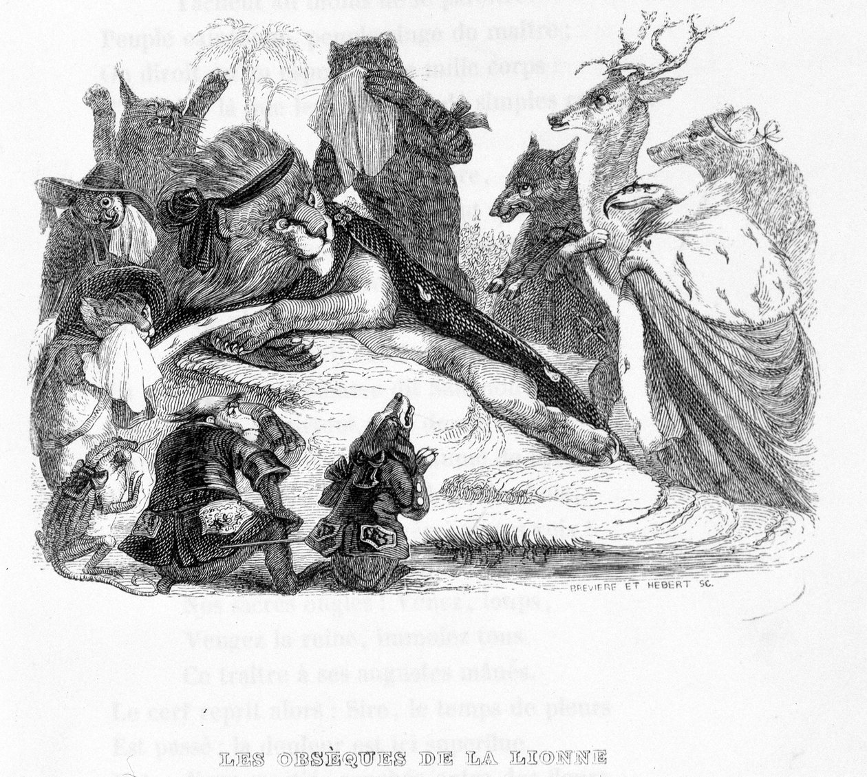 Les funérailles de la lionne - dans "Fables de La Fontaine" ill. par Grandville - Grandville