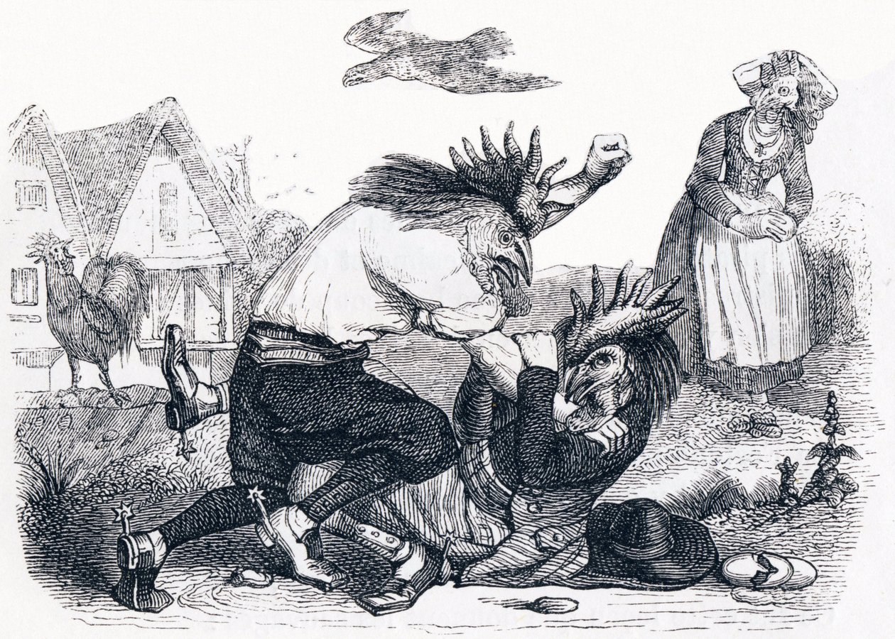 Les deux coqs - Fables de La Fontaine - Grandville