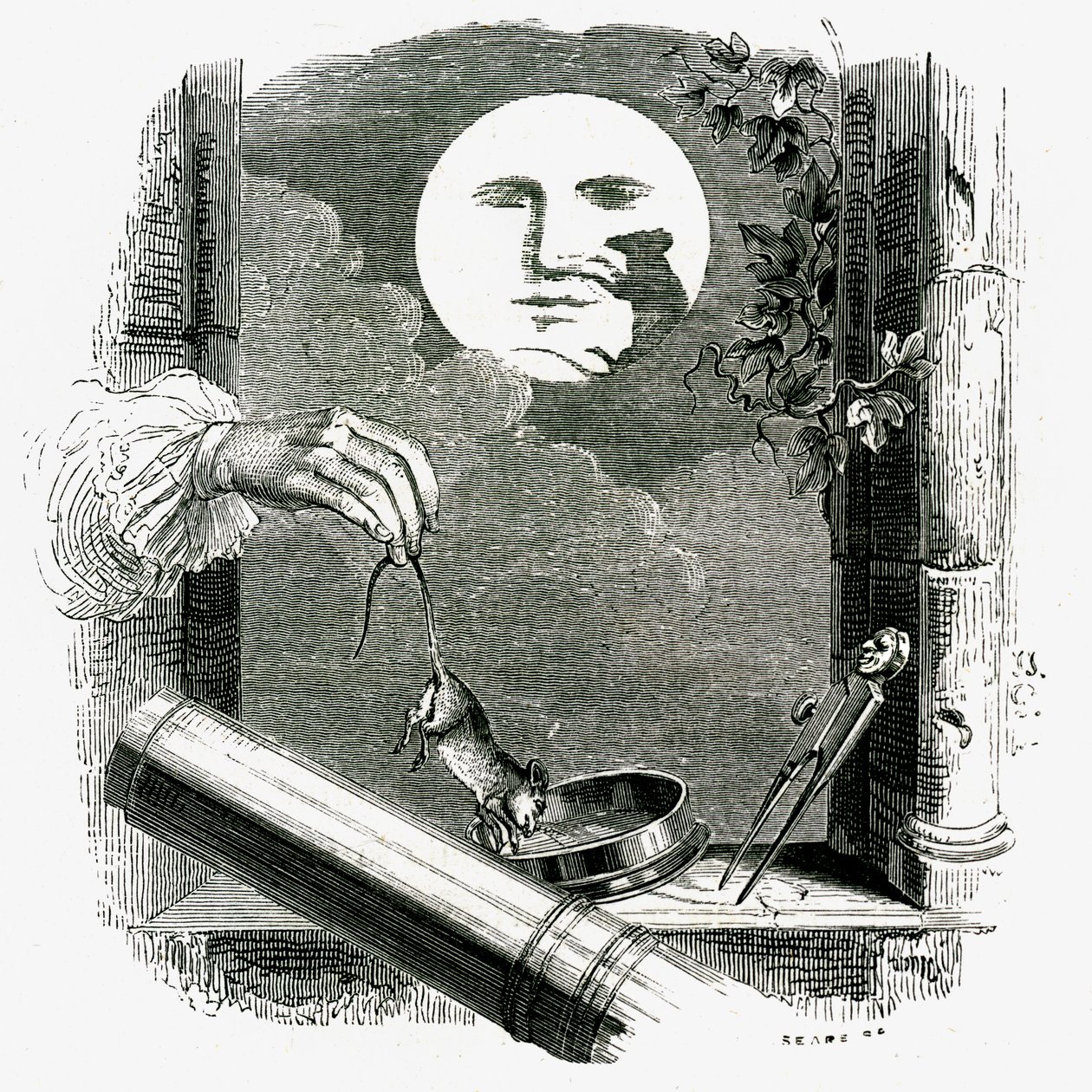 Un animal dans la lune : fable de La Fontaine illustrée par Grandville. - Grandville (1803 47)