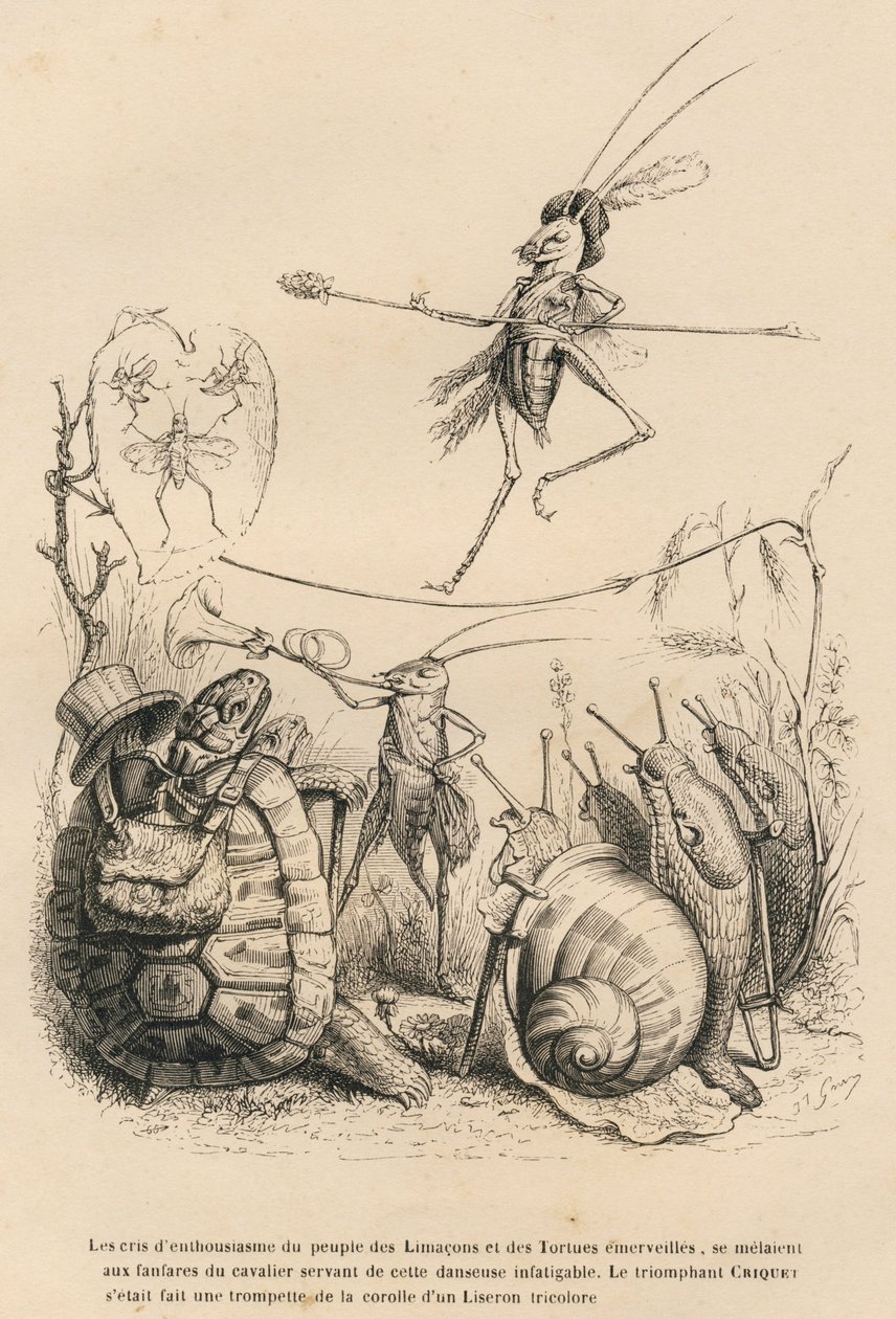 Criquet jouant de la trompette devant une tortue, un escargot et des limaces. Au-dessus de lui, un autre criquet équilibriste marche sur un fil. Vignettes illustrées par JJ Granville. Gravure signée Godard dans la partie intitulée "Les aventures d