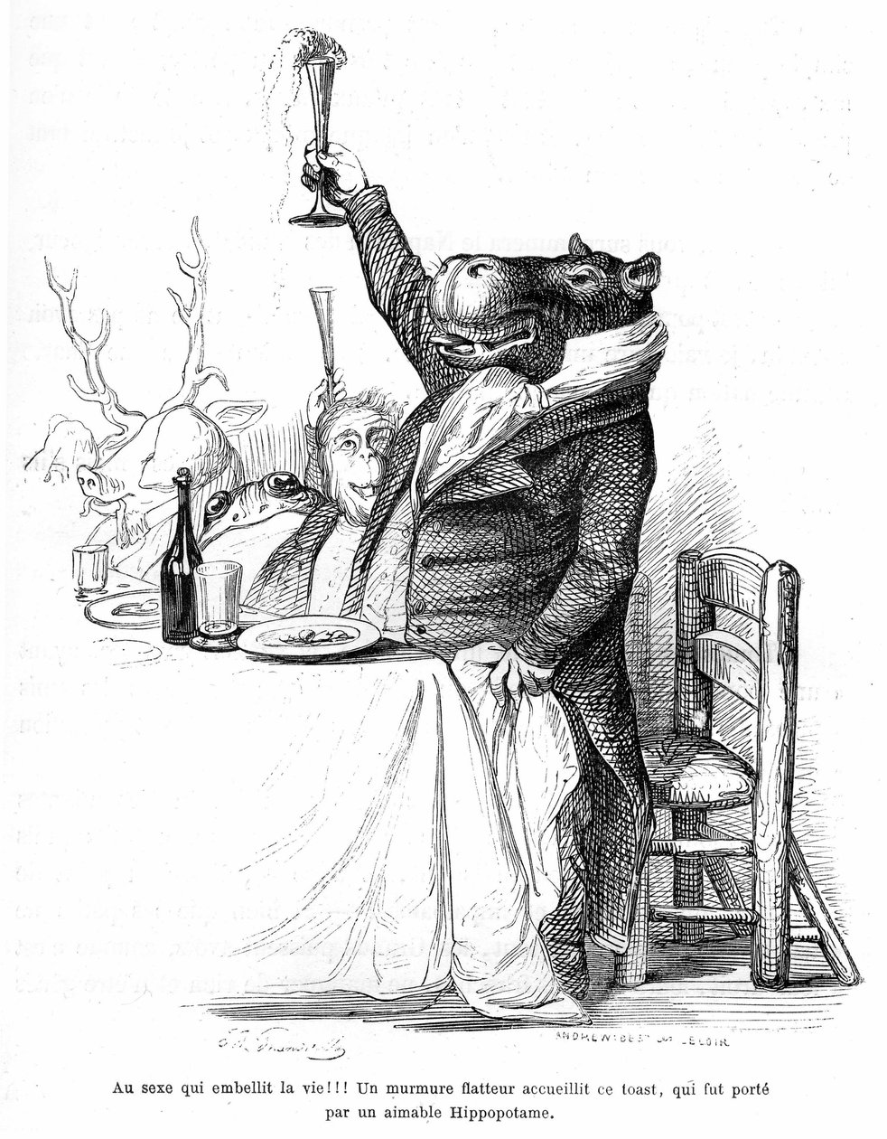 Gravure de Grandville, extraite du livre Vie privée et publique des animaux (Les animaux peints par eux-mêmes), édition Hetzel 1867 - Hippopotame mondain à une table lors d