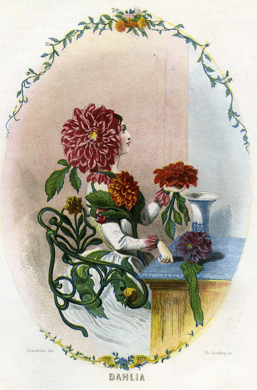 Illustration pour 