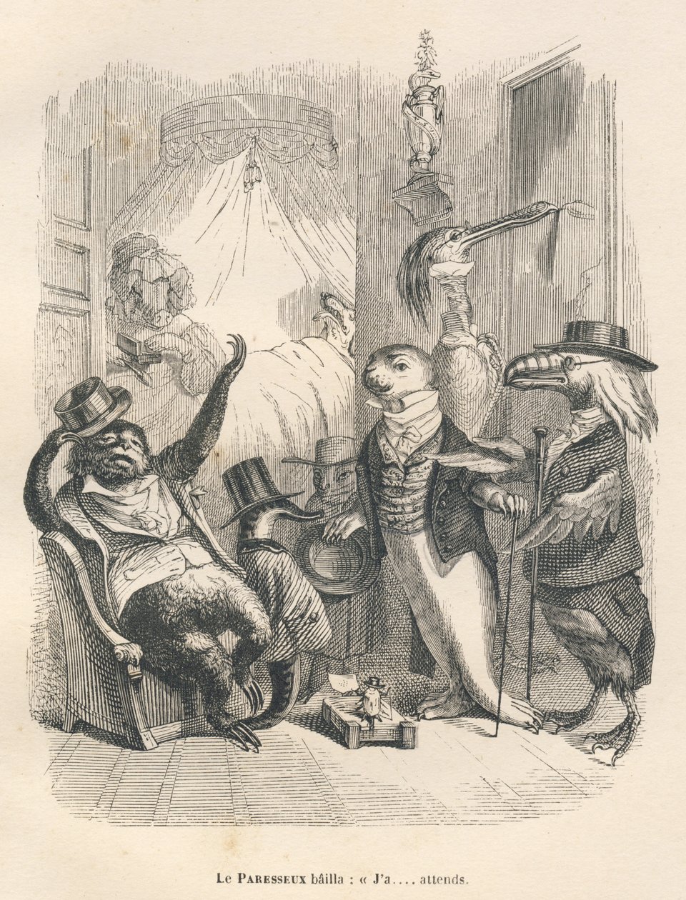 Le paresseux bâilla qu