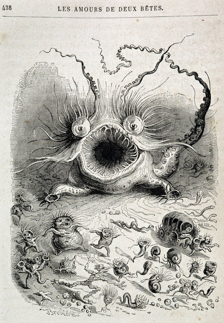 Les amours de deux bêtes (monstre effrayant) - dans « Les Animaux peints par eux-mêmes : vie privée et publique des animaux » par Grandville, chapitre par Honoré de Balzac, éd. Hetzel - Grandville