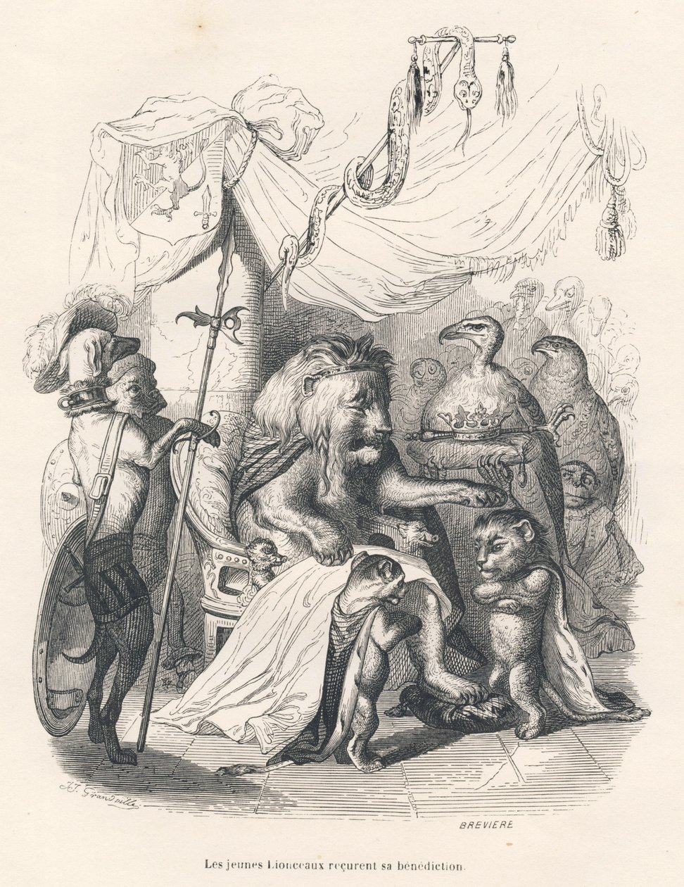 Les jeunes lionceaux reçoivent la bénédiction du roi lion. Vignettes illustrées par JJ Granville. Gravure signée Brévière dans "Voyage d