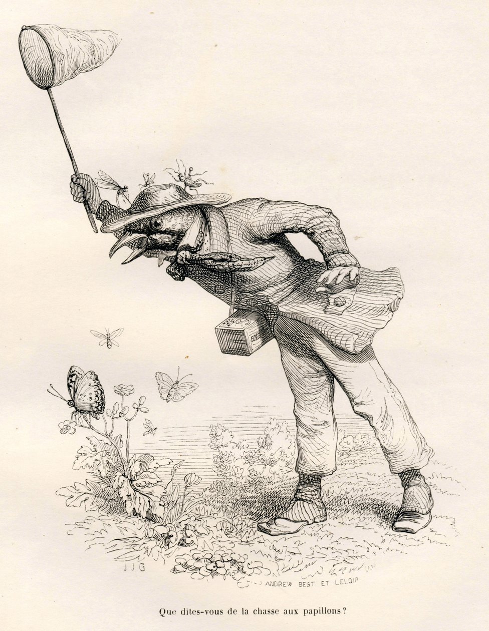 Oiseau chassant les papillons. Vignettes illustrées par JJ Granville. Gravure signée Andrew, Best et Leloir dans la partie intitulée "Un renard pris au piège" écrit par Charles Nodier in "Scènes de la vie privée et publique des animaux". Paris, J. Hetzel e - Grandville