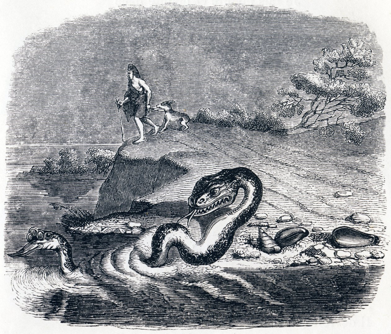 La tête et la queue du serpent - Fables de La Fontaine - Grandville