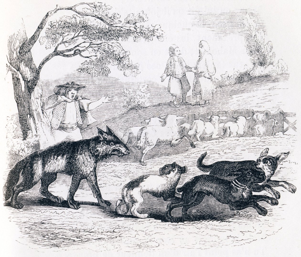 Le bassa et le marchand - Fables de La Fontaine - Grandville