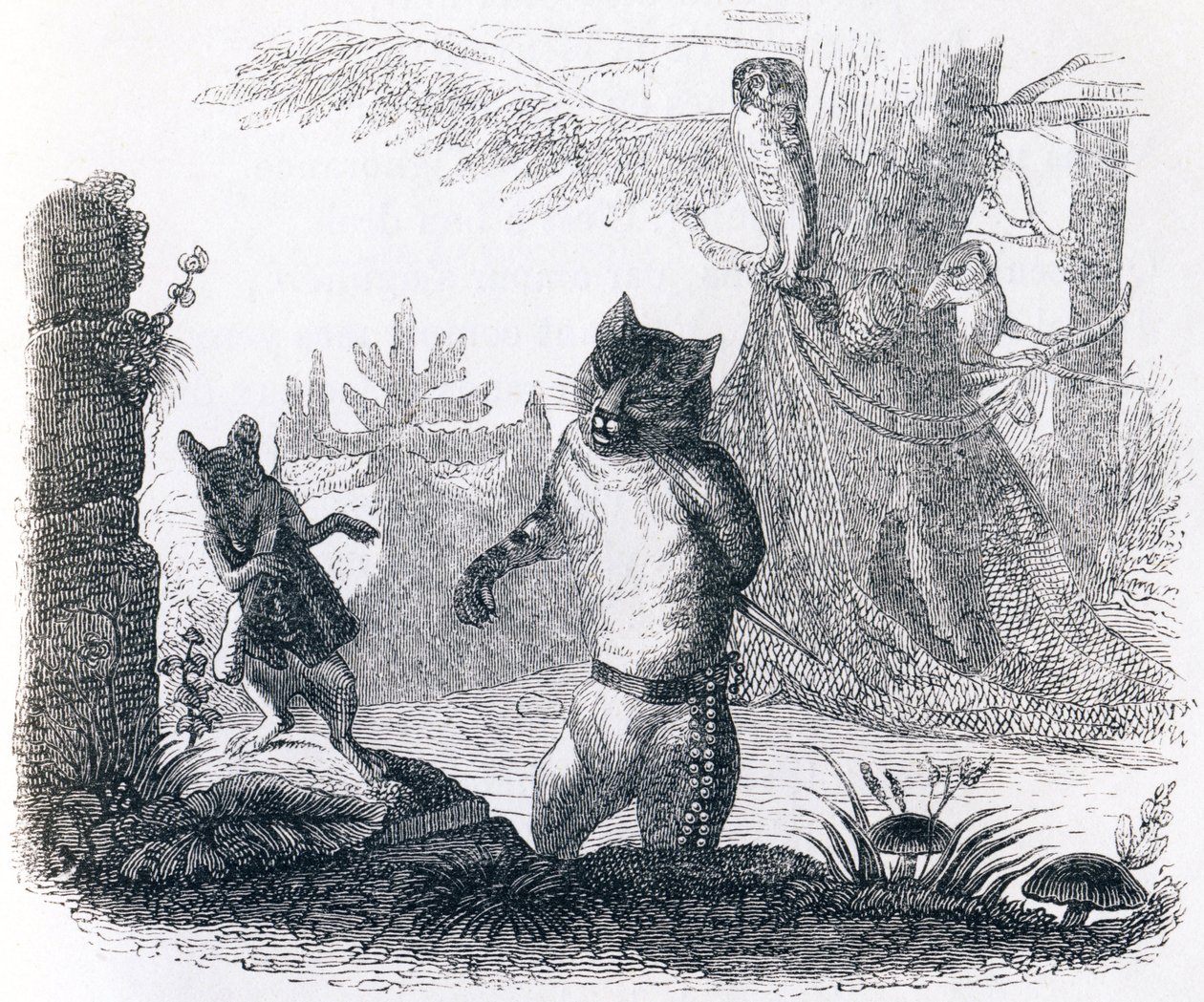 Le chat et le rat - Fables de La Fontaine - Grandville