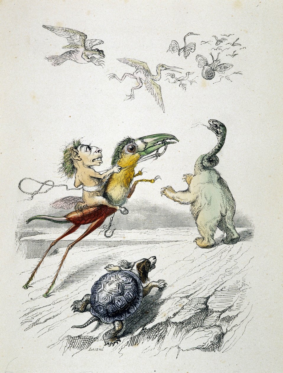 La chasse (course d