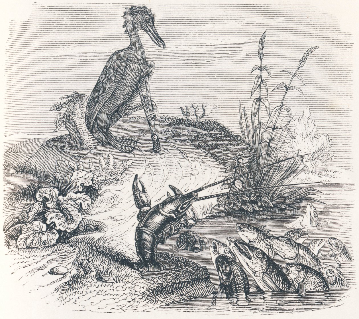 Les poissons et le cormoran - Fables de La Fontaine - Grandville