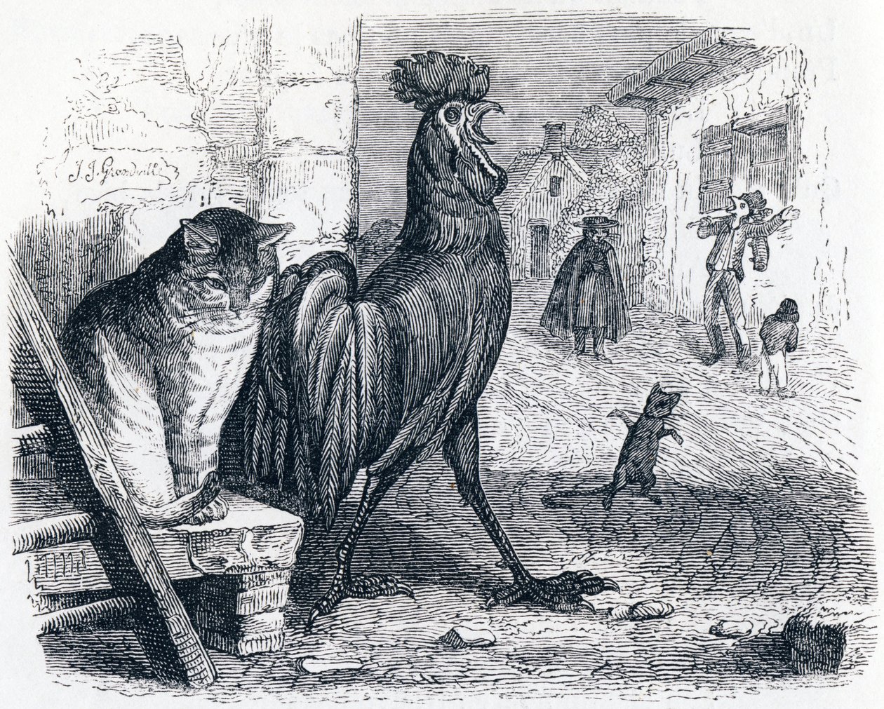 Le coq, le chat et le souriceau - Fables de La Fontaine - Grandville