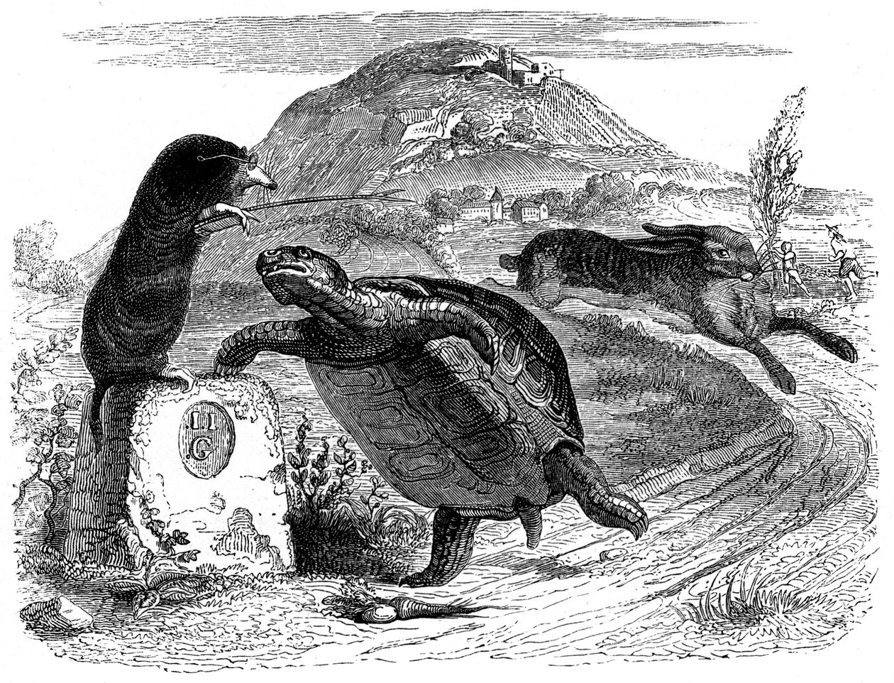 Le lièvre et la tortue : fable de La Fontaine illustrée par Grandville - Grandville (1803 47)