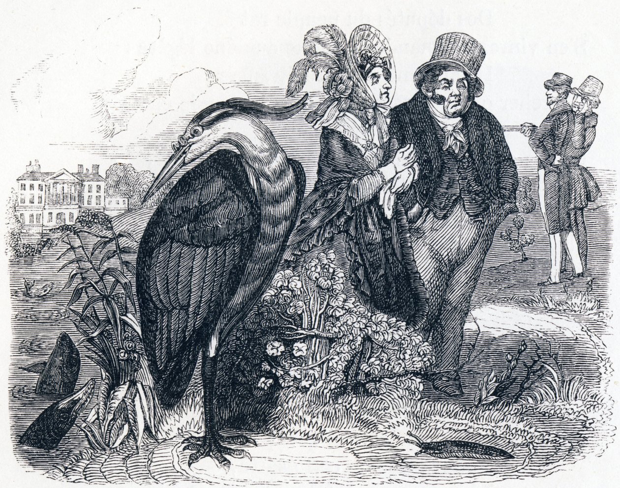 Le héron - Fables de La Fontaine - Grandville