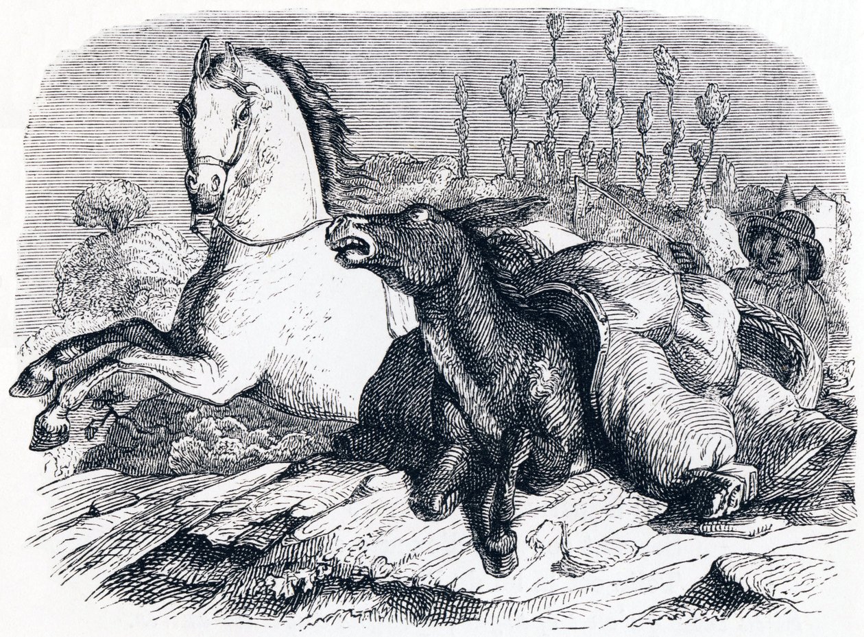 Le cheval et l