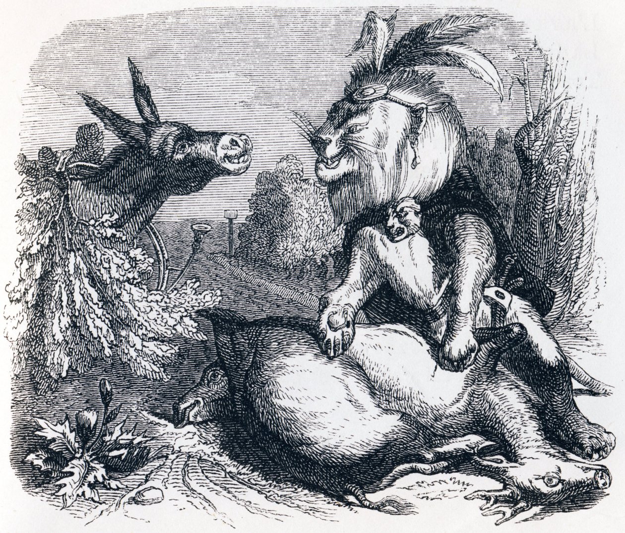 Le lion et l