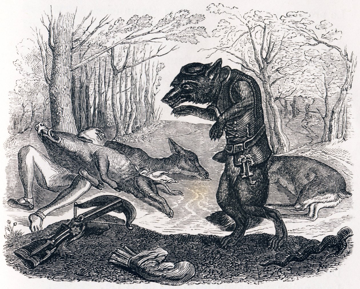 Le loup et le chasseur - Fables de La Fontaine - Grandville