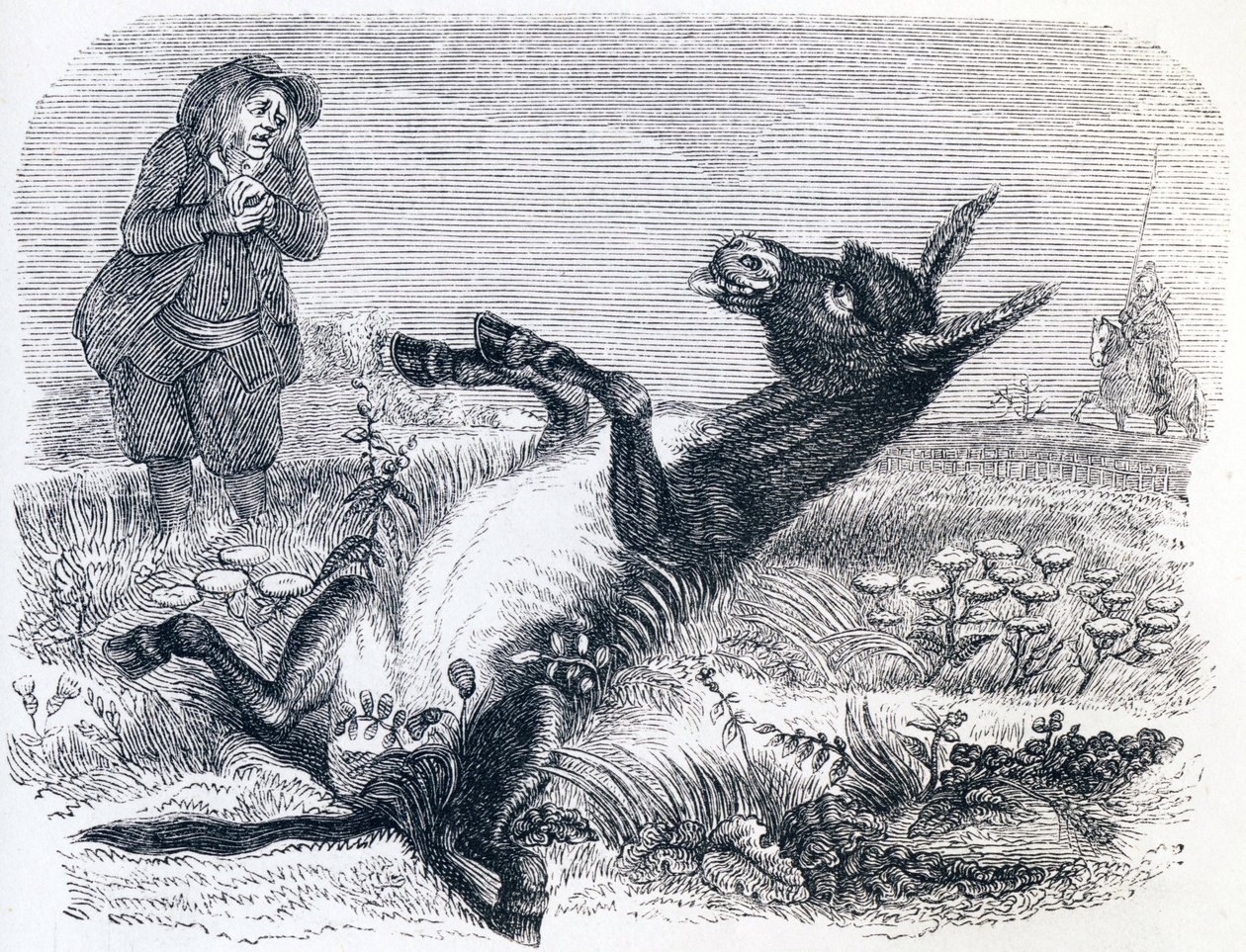 Le vieillard et l