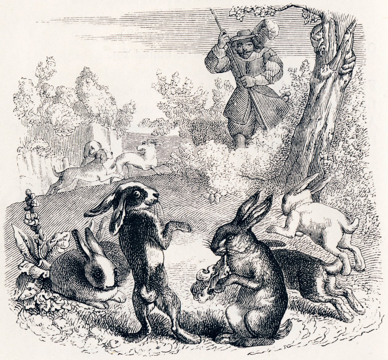 Les lapins - Fables de La Fontaine - Grandville
