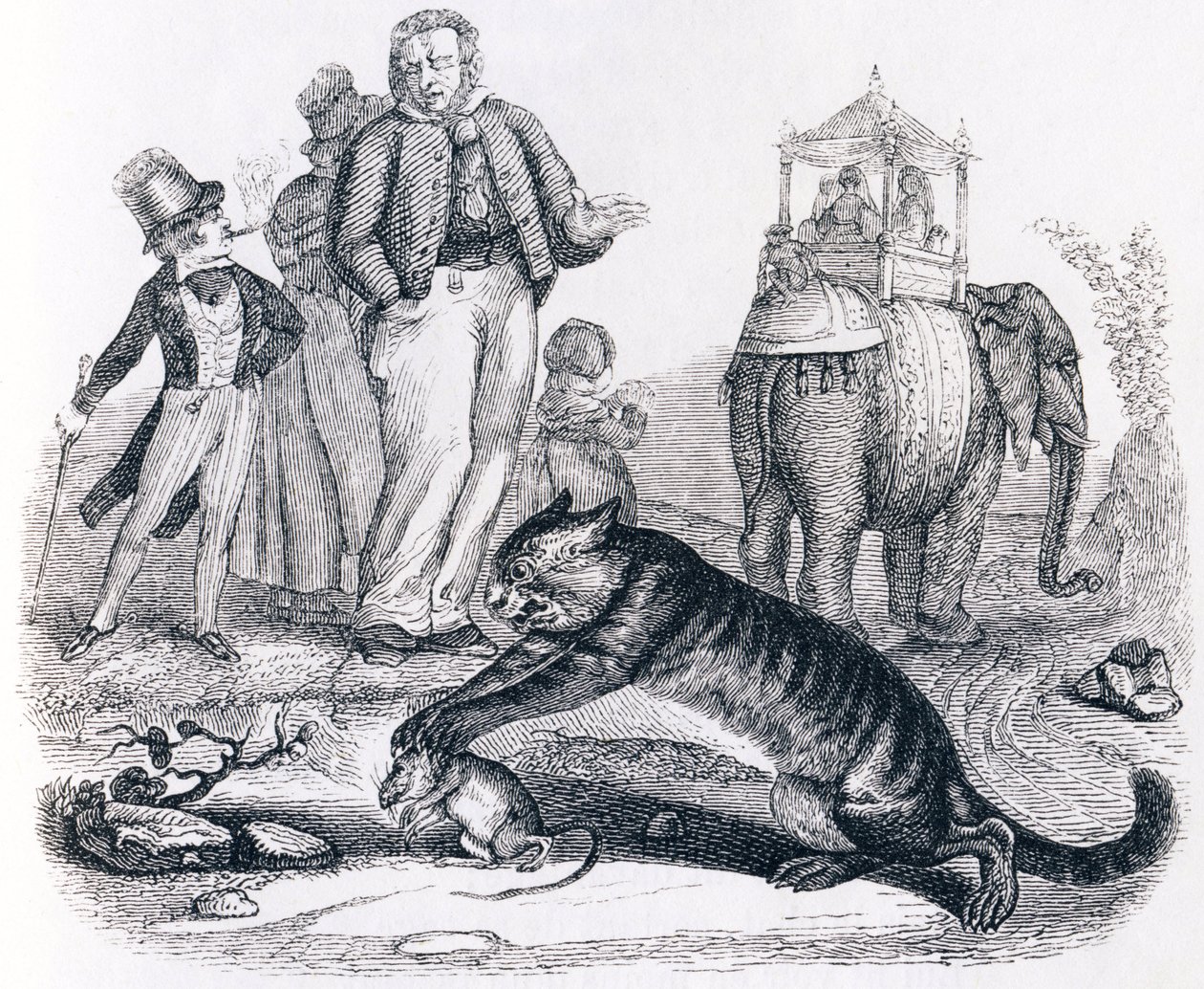 Le rat et l
