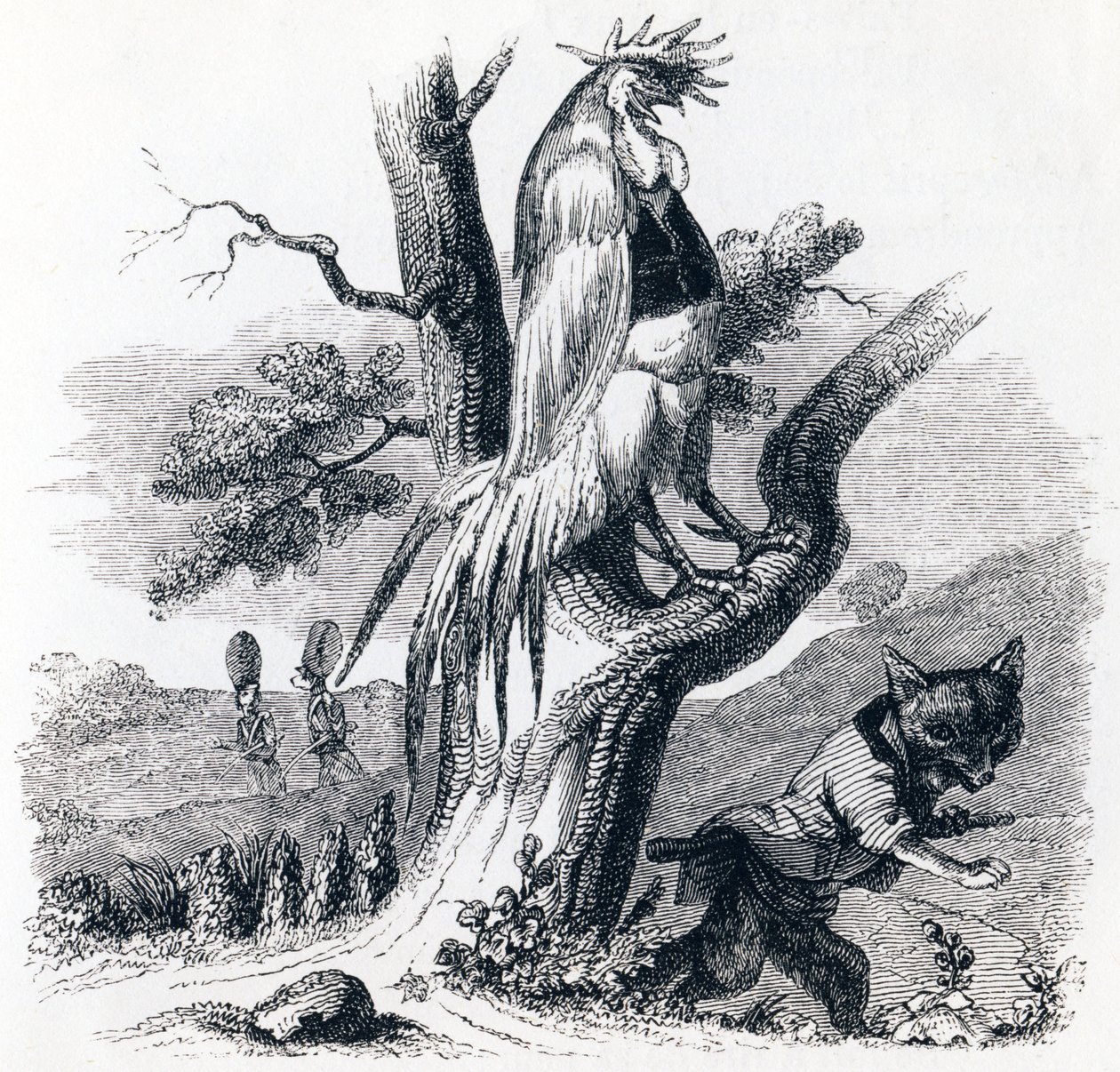 Le coq et le renard - Fables de La Fontaine - Grandville