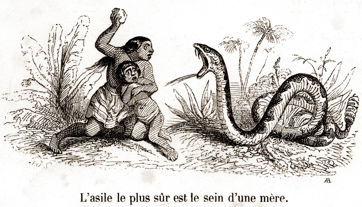 Le refuge le plus sûr est le sein d