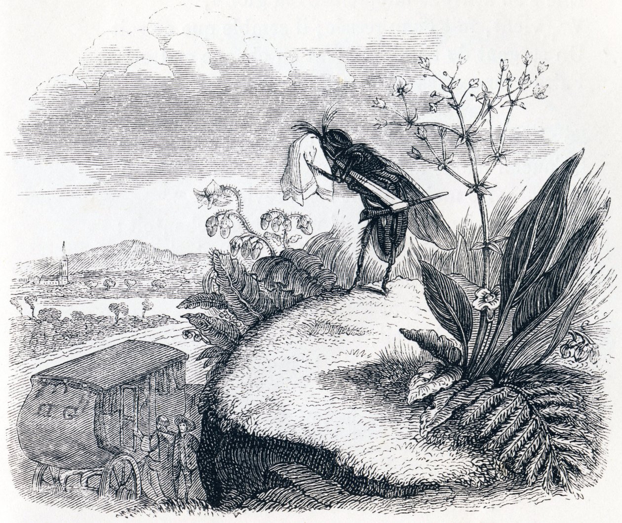 Le coche et la mouche - Fables de La Fontaine - Grandville
