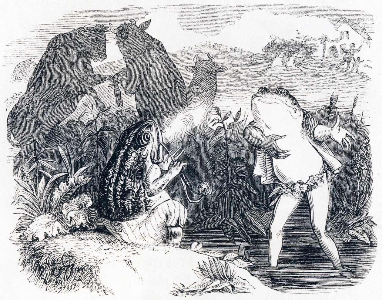 Les deux taureaux et une grenouille - Fables de La Fontaine - Grandville