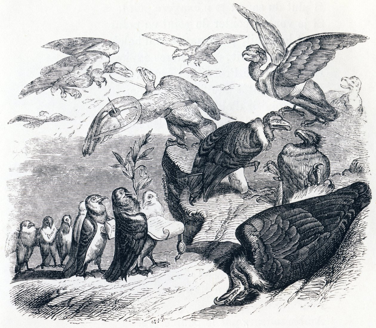Les vautours et les pigeons - Fables de La Fontaine - Grandville
