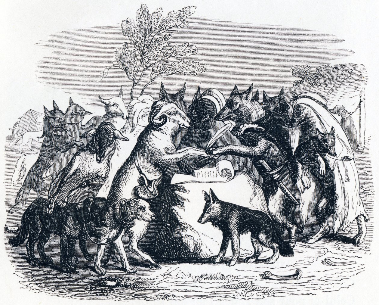 Les loups et les brebis - Fables de La Fontaine - Grandville