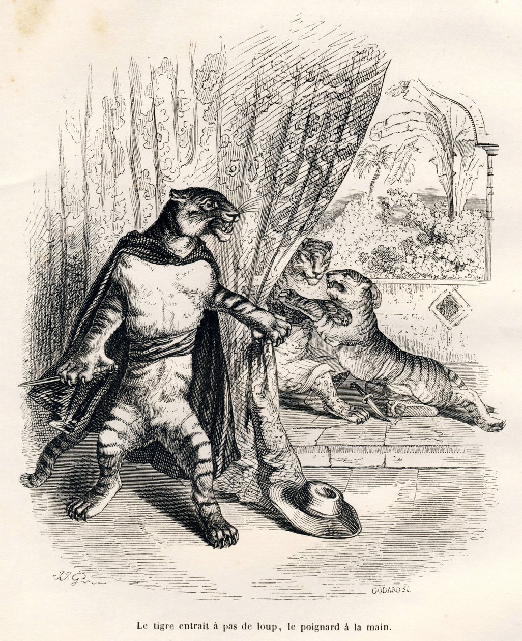 Tigre entrant sur scène le poignard à la main. Vignettes illustrées par JJ Granville. Gravure signée Godard dans la partie intitulée "Le premier feuilleton de Pistolet" écrit par Jules Janin in "Scènes de la vie privée et publique des animaux". Paris, J. H - Grandville