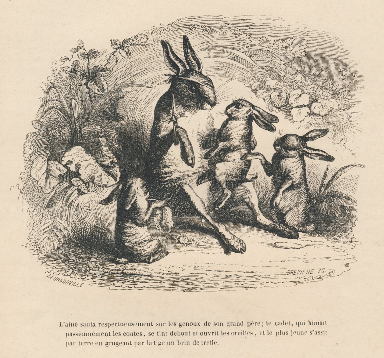 Trois enfants lapins écoutant leur grand-père blessé raconter des histoires. Vignettes illustrées par JJ Granville. Gravure signée Brévière dans "Histoire d