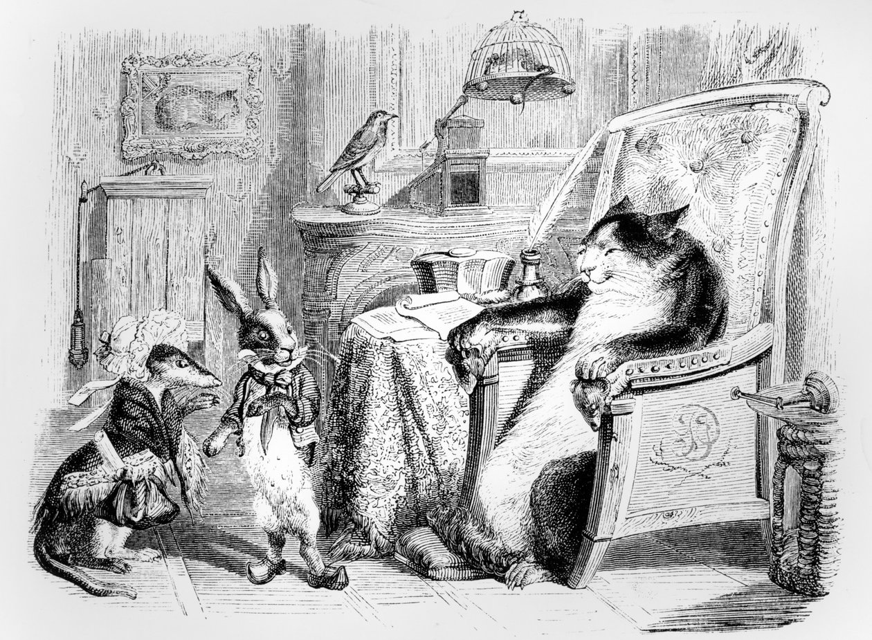 Le Chat, la Belette et le Petit Lapin, illustration pour 