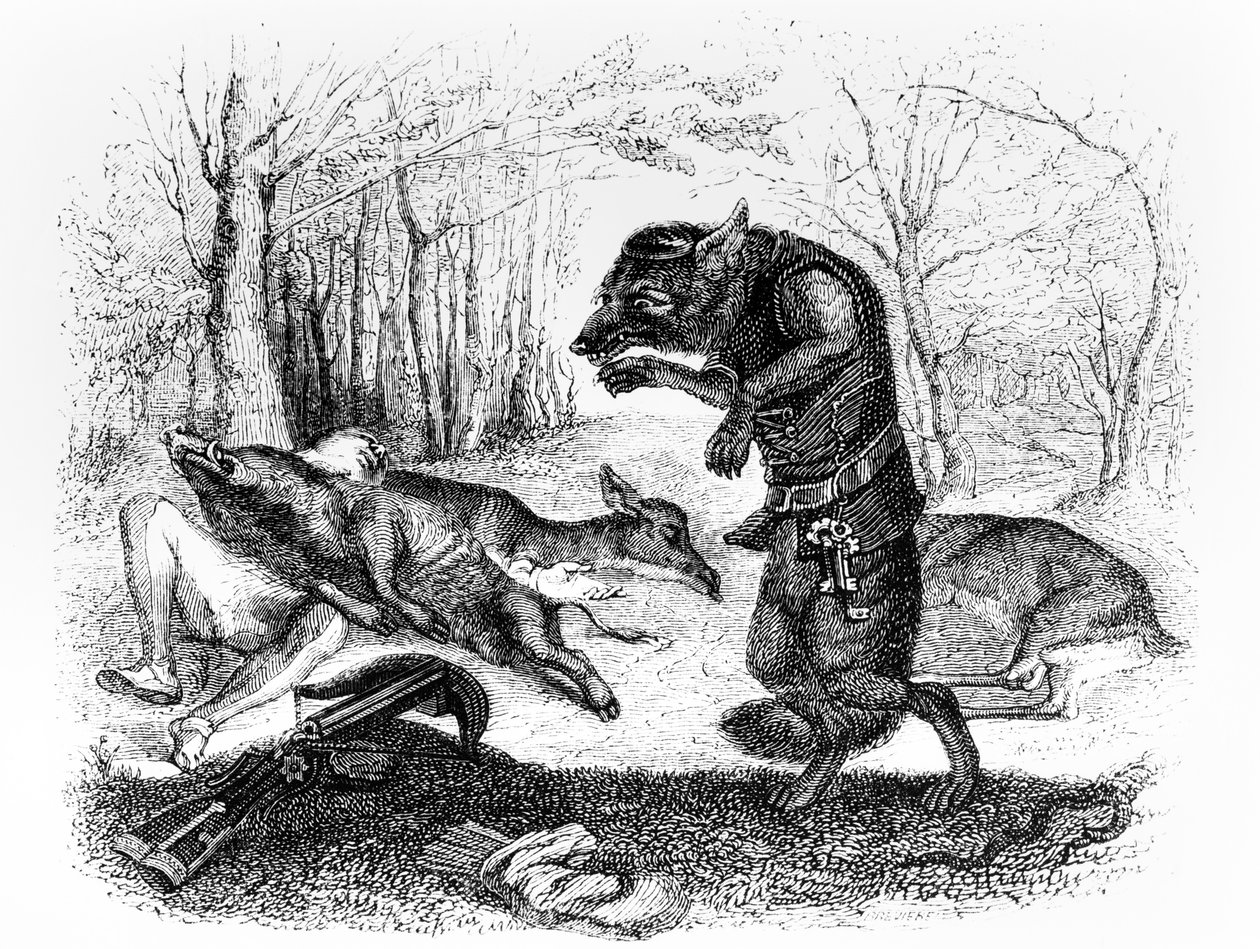 Le Loup et le Chasseur, illustration pour 