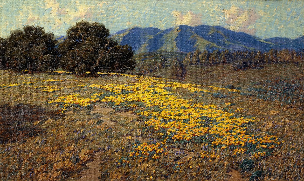 Coquelicots de Californie - Granville Redmond